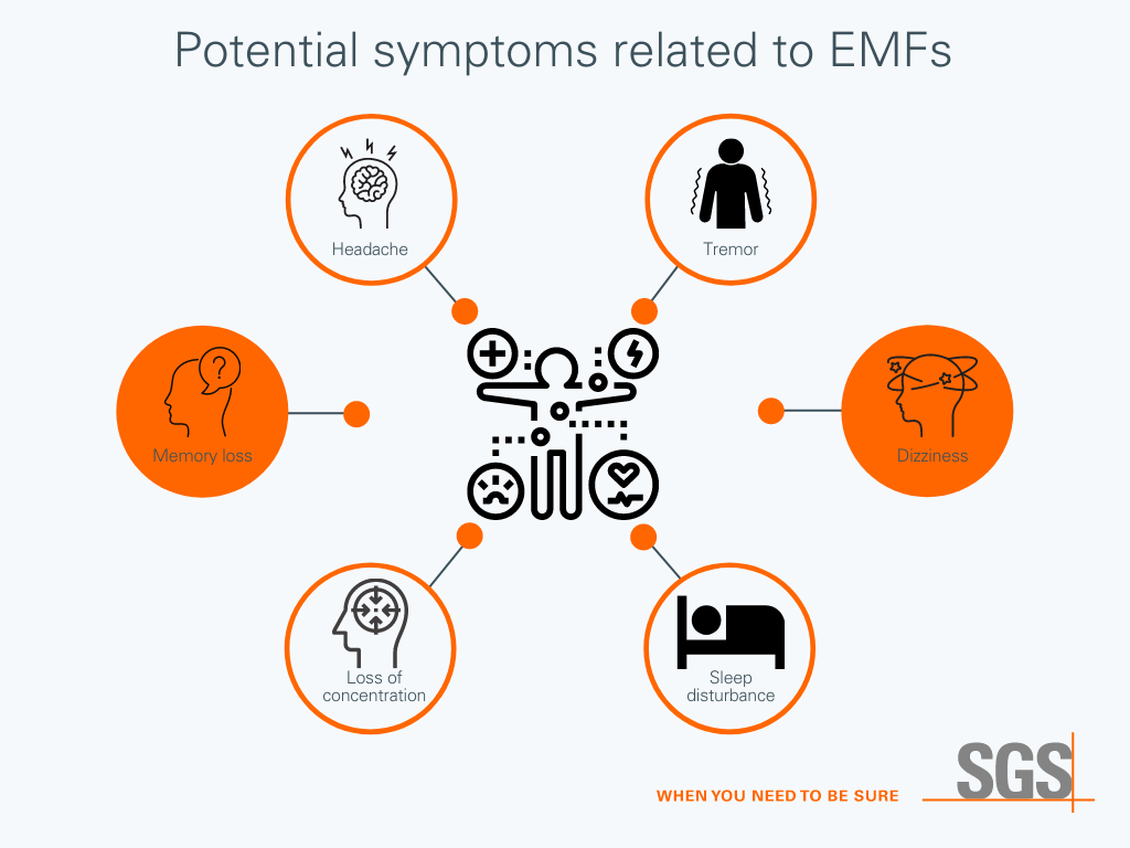 emf evaluation 2