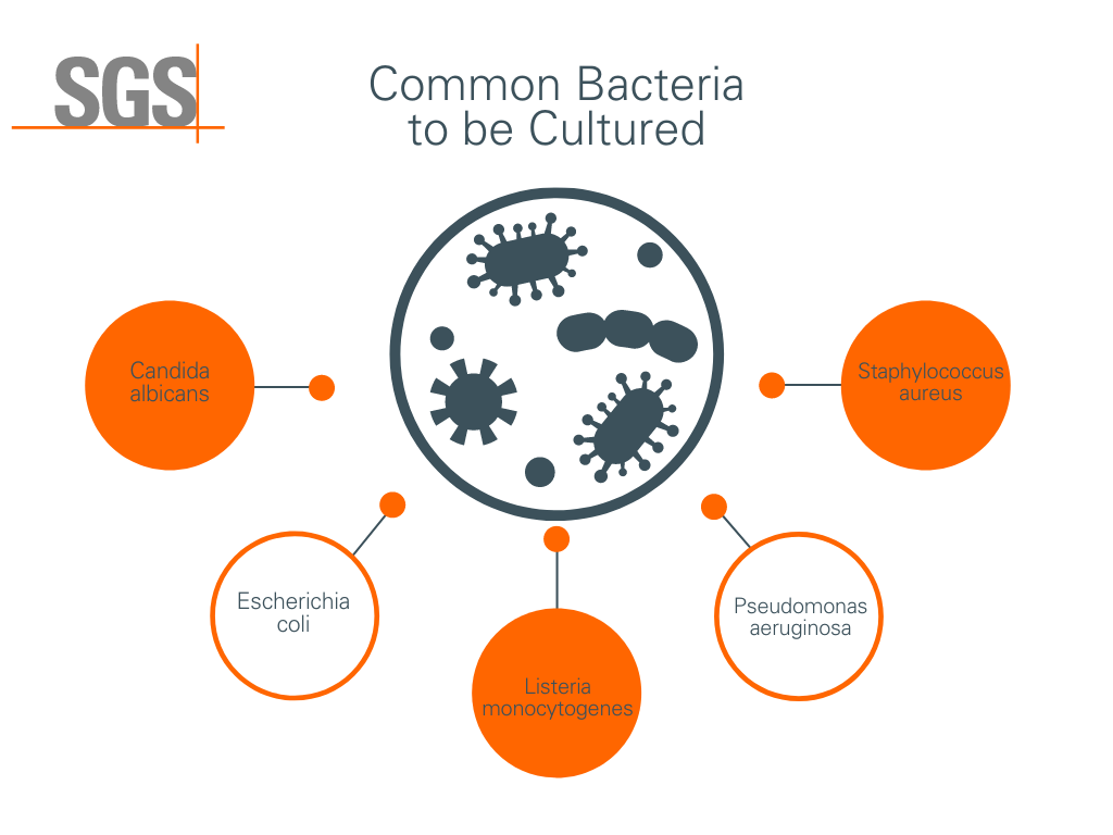 Bacteria Culturing