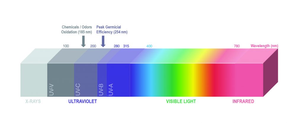 Light Spectrum